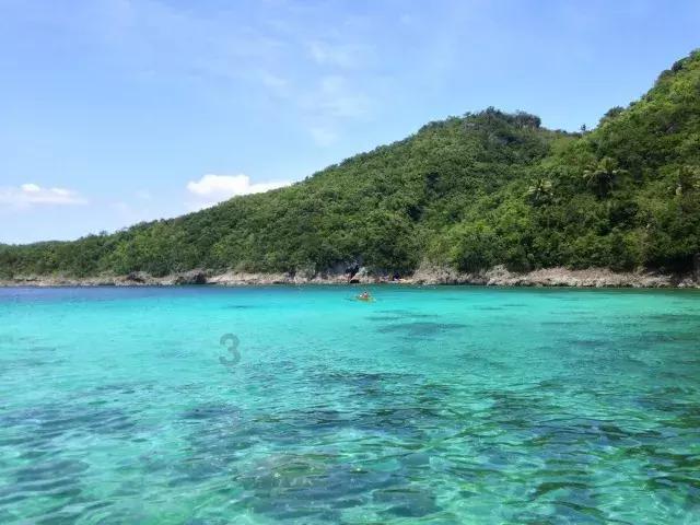 逃出蜜蜂岛