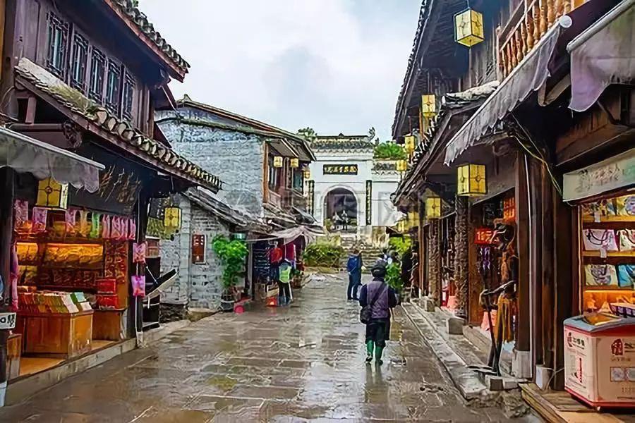 逃离棕榈树森林